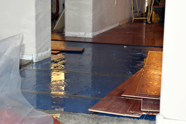 Professional Basement Flood Cleanup technician working in Bayview, CA